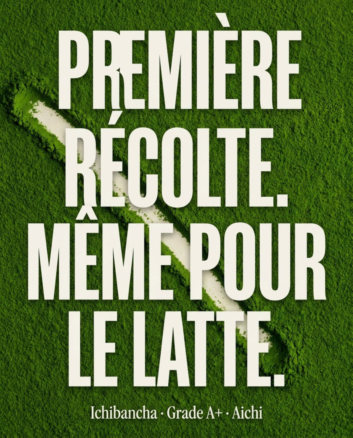 Poudre de matcha Latte Nekoki en gros plan, première récolte ichibancha, grade A+, Aichi