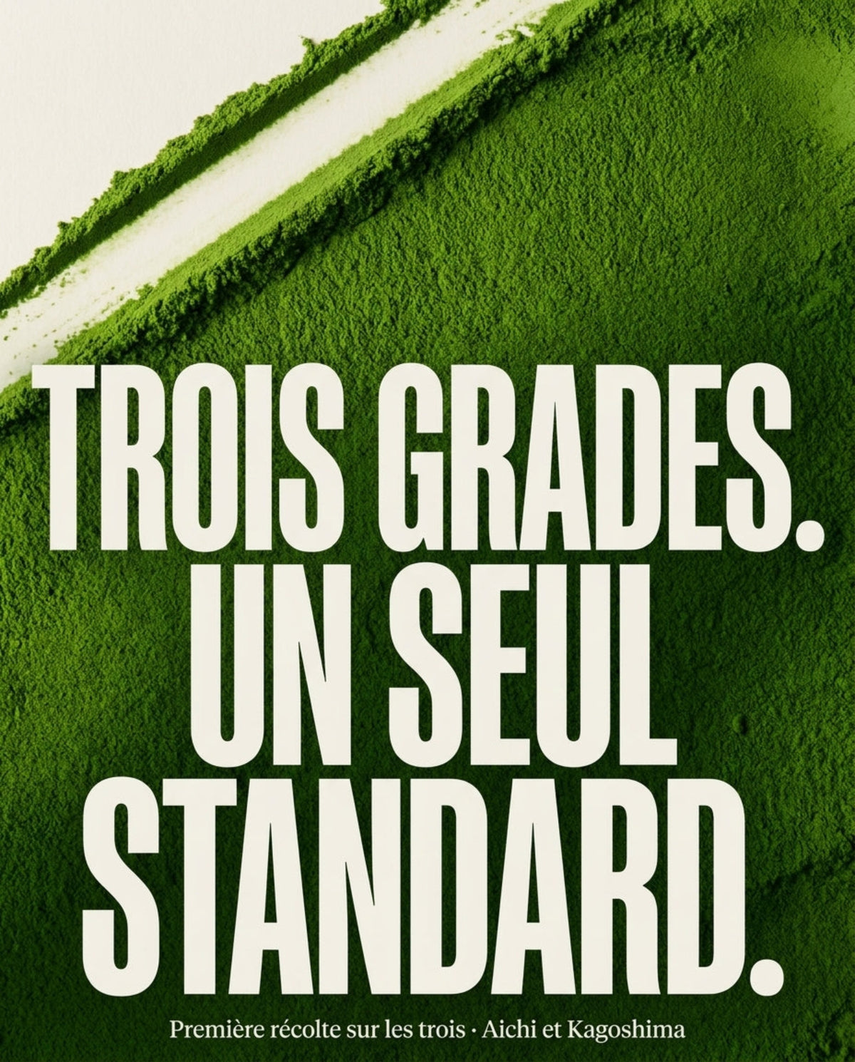 Trio Découverte Nekoki : trois grades de matcha, un seul standard, première récolte sur les trois, Aichi et Kagoshima